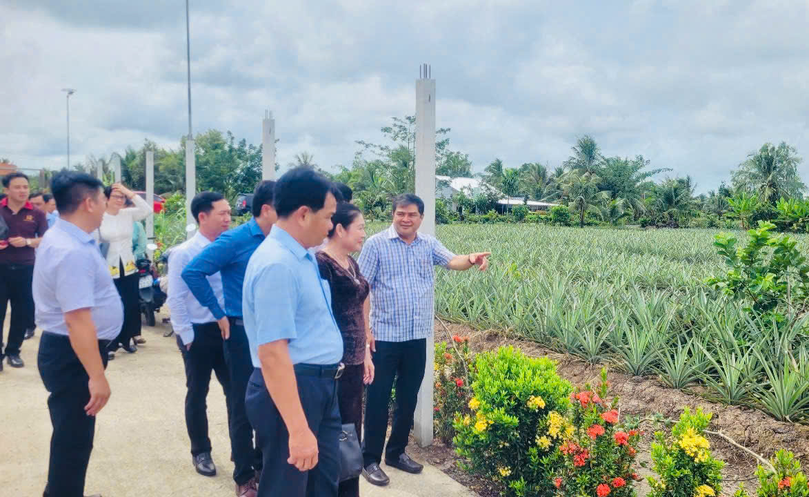 Hậu Giang: Ra mắt mô hình du lịch cộng đồng vùng khóm Cầu Đúc